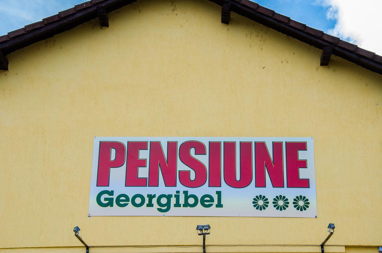 Pensiunea Georgibel Deva Esterno foto
